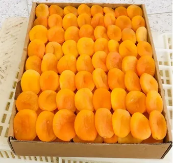 تصویر 4 از فروش میوه خشک بسته بندی + قیمت خرید به صرفه